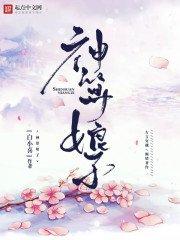 乱世风云录之红尘伊人泪
