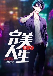 念术高手