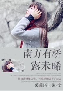 倒霉穿越之乞丐娘子