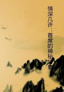 与美行天下