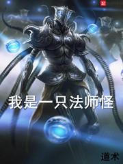 总裁的9日恋人