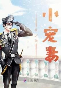 个人雪中悍刀行