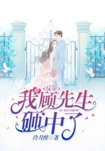 天降圣女聪明公主历险记
