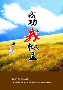 全面战争之北宋末年