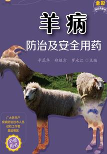 特权相师