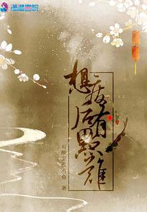 韩娱之光辉