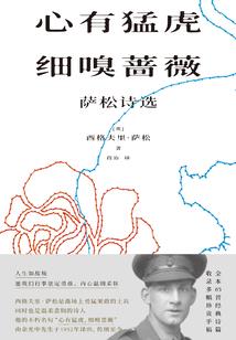 泪殇之痕