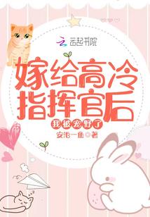 奇遇手记