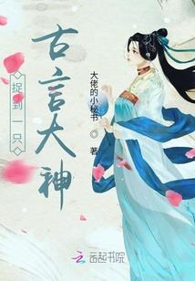 梦如曦月