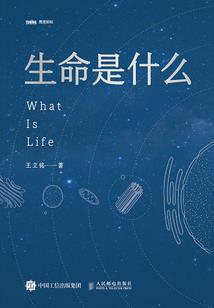 识破惊天