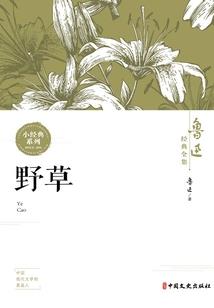 从费伦开始的法术之主