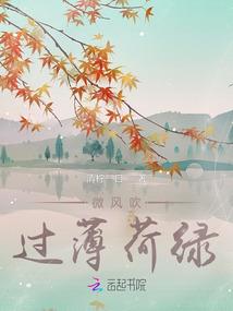 美全怡陶浪