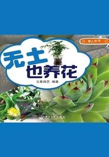 诛天无极