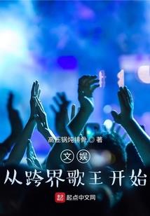 我的英雄学院之风的掌控者