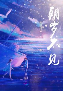 当流星划过天际——剧变