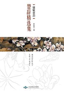 萌妹纸的后宫