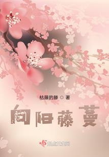 无双道圣