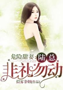 九尘决