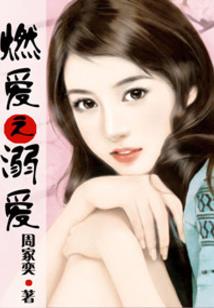 木棉花开的岁月