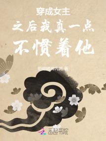杀手的保护任务