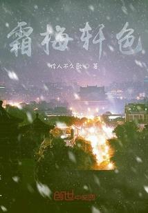 无上属性之天火传说