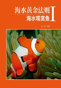 全职法师之次元罹灾者