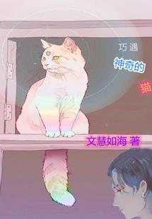 萤之光念