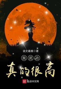 宝可梦的世界旅途