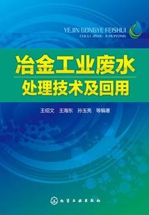 守护甜心之梦想的女王
