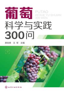 皇后是个小透明