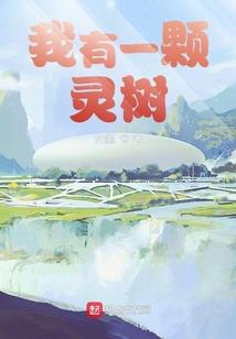 武极不灭