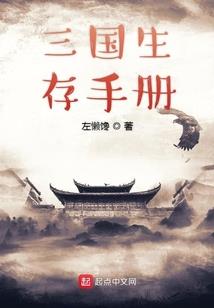 抗日之一杆枪