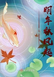 鲨鱼日记