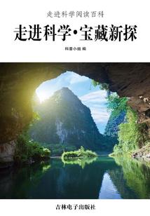 巫师起源