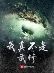 月色迷人蝶舞倾城