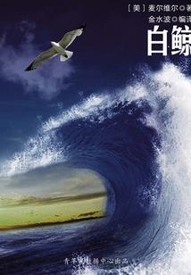 从成为剑炉开始