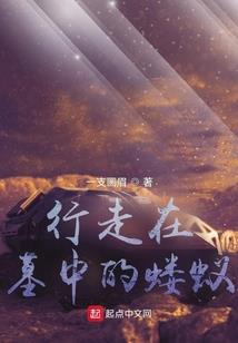 丽妃传