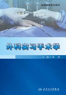 清风修仙记