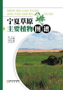 大唐明月光