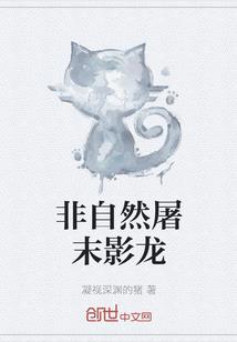 边境城督察官