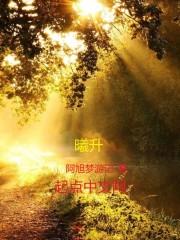 我的微信通大明