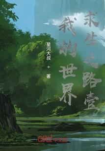 镜花梦