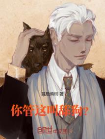 我们都只是影子