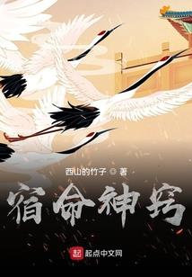 天道美发师