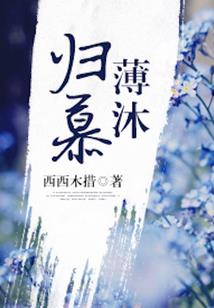 半生随想录