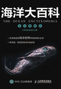 虎跃龙腾