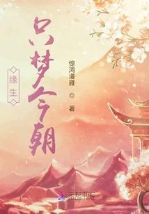 桐妍无迹