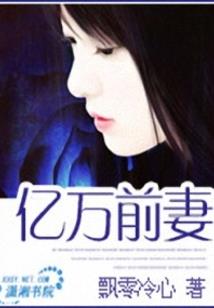 传奇流浪猫