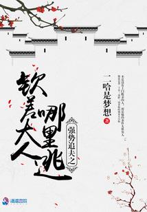 情定古代:不小心拣了七位