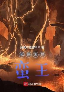 灵韵暗之伤